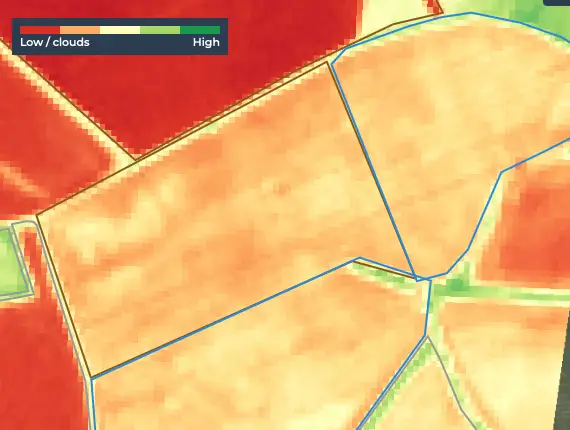 NDVI Heatmap Showing Crop Health Variations Across a Field. Different colors represent different levels of vegetation health, with green typically indicating healthy vegetation and red indicating areas of stress or low vegetation.